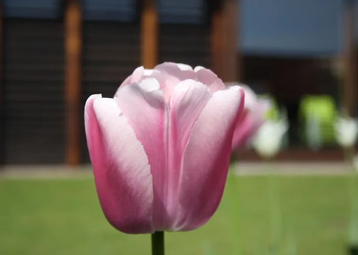 Kro Refugium Logumkloster